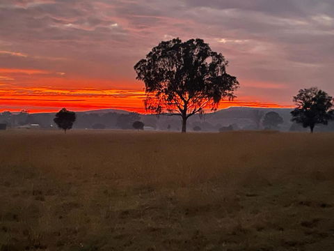 Graceland By Tiny Away - VIC Tourism 0
