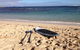 Grandview Holiday Beach House - thumb 3