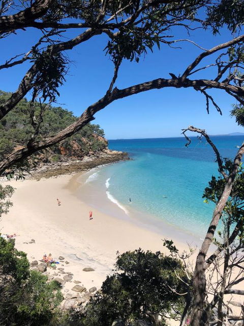 Great Keppel Island Hideaway - VIC Tourism 1