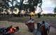 Grove At Peasant Farm By Tiny Away - thumb 1