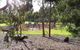 Harp Haven - Contemporary In Suburban Tree Lined Kew - thumb 1