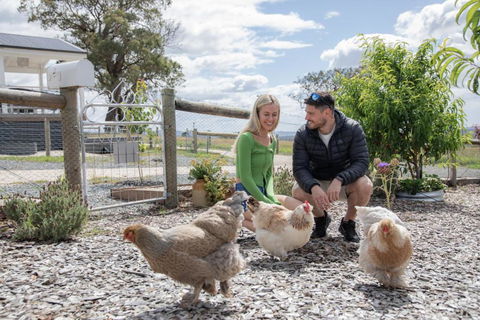 Gumnut Cottage Gippsland - Tiny Romantic Escape W King Bed Mountain Views - VIC Tourism 3