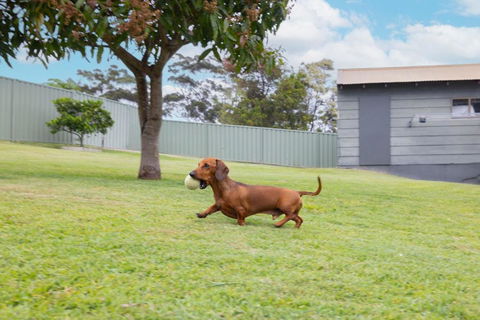 Illaroo House 16 Verona Rd - Pet Friendly, Boat Parking, Wi-Fi - VIC Tourism 2