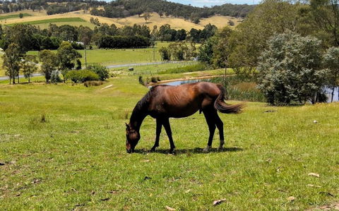 Honeycomb Hill Of Yarra Valley - VIC Tourism 3