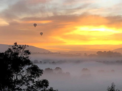 Honeycomb Hill Of Yarra Valley - VIC Tourism 1