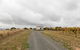 Hounds Run Vineyard - Tiny House In The Grampians - thumb 3