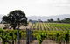 Hounds Run Vineyard - Tiny House In The Grampians - thumb 1