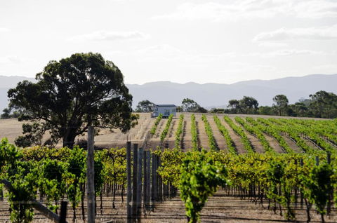 Hounds Run Vineyard - Tiny House In The Grampians - VIC Tourism 1