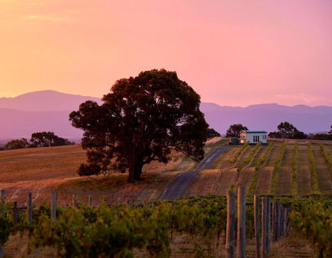 Hounds Run Vineyard - Tiny House In The Grampians - VIC Tourism 0