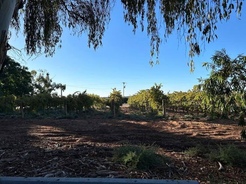 House By The Vines - VIC Tourism 0