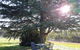 Indigo Vineyard Farmstay - thumb 2