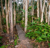 Agnes Palms Accommodation - VIC Tourism