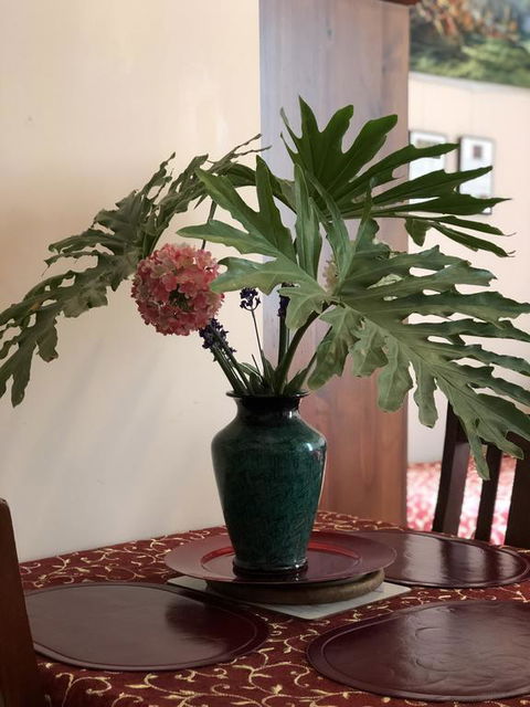 Albany Foreshore Guest House - VIC Tourism 3