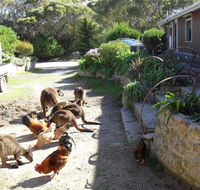 Anchorage Apartments - VIC Tourism