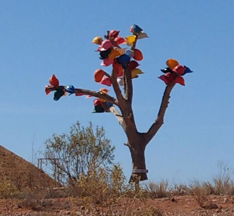 ANTE STREET DUGOUT - VIC Tourism 1