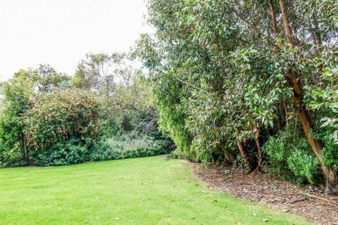 APOLLO BAY HOLIDAY HOUSE - Walk To Beach + Wifi - VIC Tourism 2