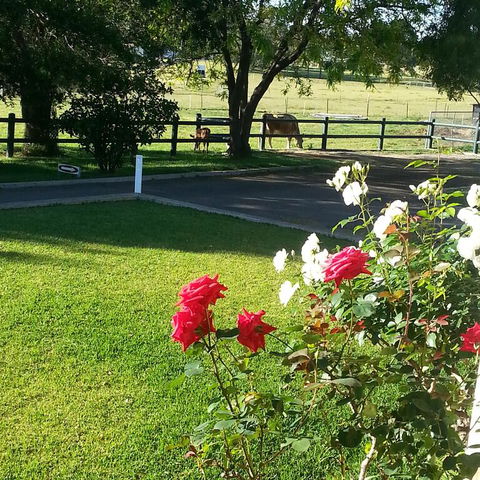Appin Homestay B & B - VIC Tourism 3