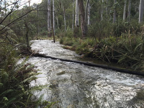 Ariane - VIC Tourism 3