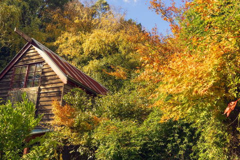 Arnica Views Summit Retreat - VIC Tourism 2