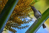 Book Karumba Accommodation Vacations VIC Tourism VIC Tourism