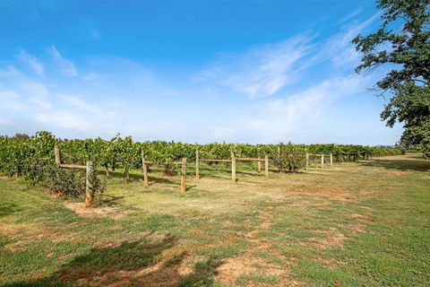 Milawa Vineyard Views - Guesthouse 2 - VIC Tourism 0