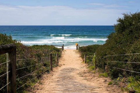 Mona Vale Surf To Tee - VIC Tourism 1