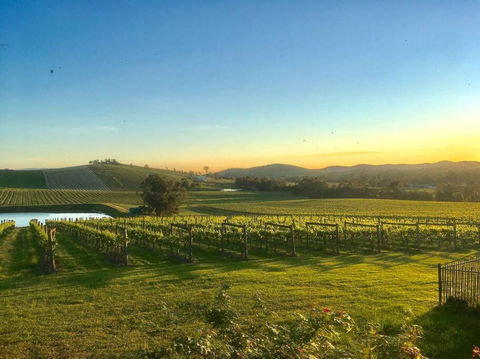 Mount Hope Estate Vineyard - VIC Tourism 0