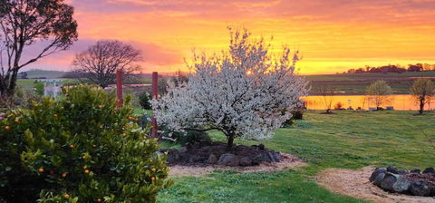 New Horizons Farm Stay - VIC Tourism 3