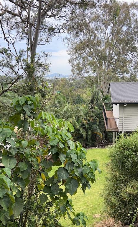 New - Our Treehouse Near Alex Beach - VIC Tourism 2
