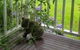 Ocean-view Hilltop Retreat - thumb 3