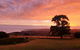Ocean-view Hilltop Retreat - thumb 0