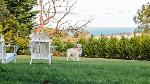 Ocean View House - VIC Tourism 0
