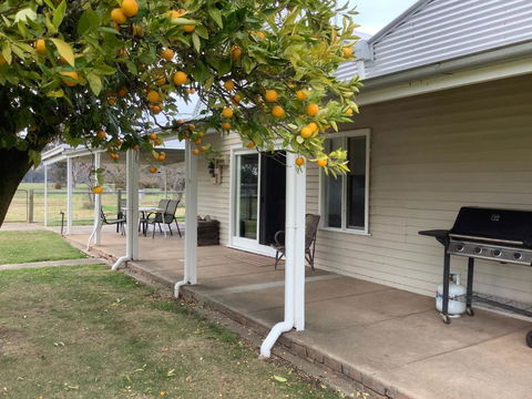 Orange Tree Cottage - VIC Tourism 0