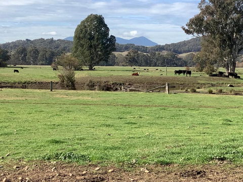 Orange Tree Cottage - VIC Tourism 3