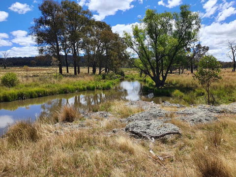 Parlour Mountain Cottage - VIC Tourism 1