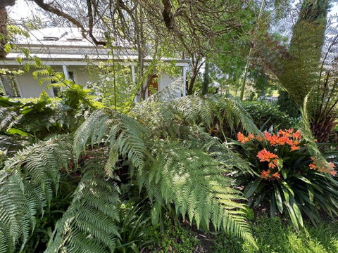 Petschel House - VIC Tourism 3