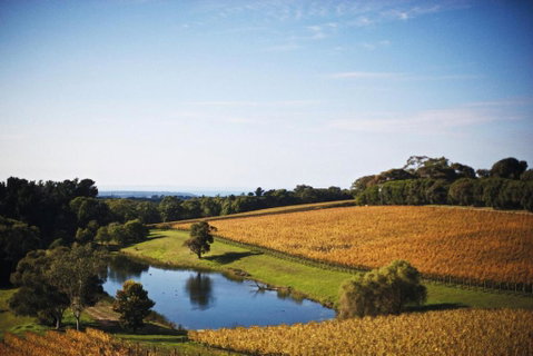 Port Phillip Estate - VIC Tourism 2