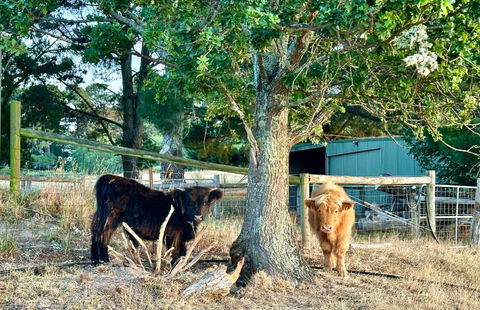 Private, Secluded Farm Retreat - VIC Tourism 3