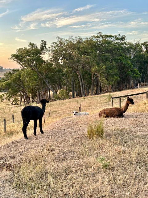 Private, Secluded Farm Retreat - VIC Tourism 2