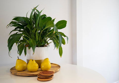Azure Beach Retreat - Spa Luxury - VIC Tourism 2