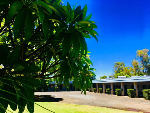 Balonne River Motor Inn - VIC Tourism 0