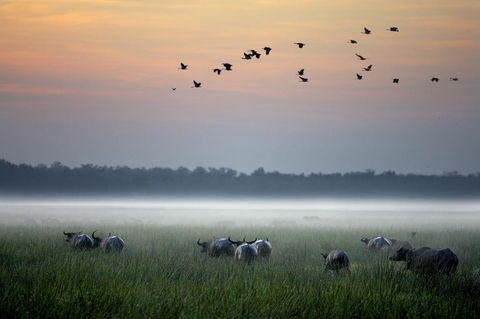 Bamurru Plains - VIC Tourism 0