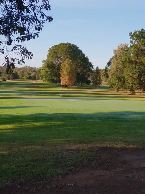 Barooga Golf View Motel - VIC Tourism 2