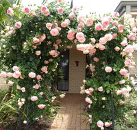 Baudins of Busselton Bed and Breakfast - VIC Tourism