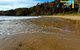 Beachgum - thumb 2