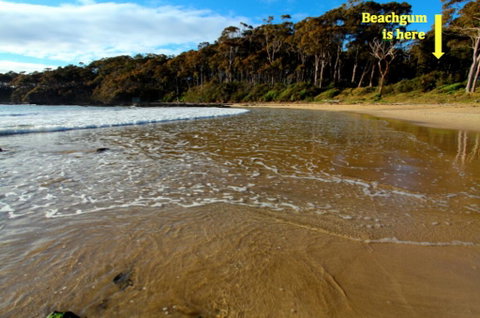 Beachgum - VIC Tourism 2