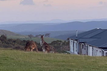 Rooks Edge with VIC Tourism