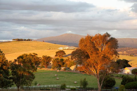 Rose Cottage Yarra Glen - VIC Tourism 1
