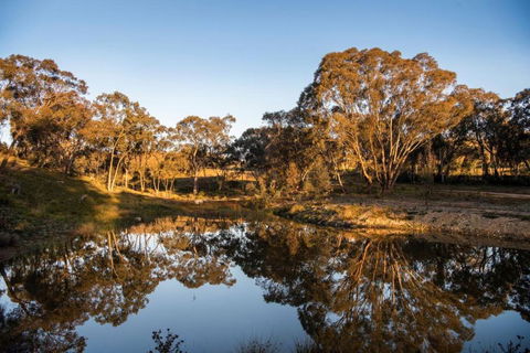 Rose Quartz - 1 Bed With Mountain Views - Kundalini Lodge - VIC Tourism 1