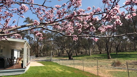 Rosewood Cottage - VIC Tourism 3